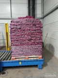 Sprzedam cebule czerwoną, kaliber pod zamówienie, worek 5,10kg