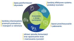 Europejski Zielony Ład w rolnictwie. Co już wiadomo?
