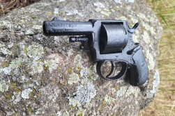 Rewolwer znaleziony w... ulu!