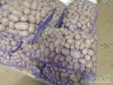 Ziemniaki odmiany Soraya kalibraż 30-55 mm  Pakowane w worek 30 kg. Cena 1,20 zł ł za kg.