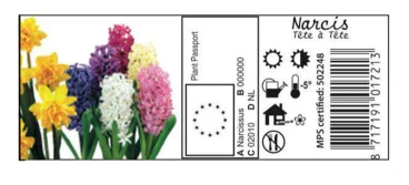 Od 14 grudnia paszporty obowiązkowe dla roślin przeznaczonych do sadzenia