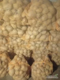 Sprzedam ziemniaki jadalne Soraya kaliber 5+ pakowane w worki po 15 kg,cena 5zł/15 kg