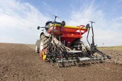 Siew rzepaku ozimego