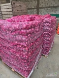 Sprzedam cebulę czerwoną z ładną łuską.  Kaliber 5+ . Opakowanie luz, big bag,  worek raszlowy 5, 10, 15, 25. Cebula fazerowana. ...