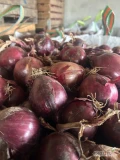 Witam sprzedam cebule czerwono kal + 5. Opak big-bag gruba  