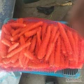 Sprzedam marchew młoda myta,lub brudna,kal 2,5-4,opakowanie i transport do uzgodnienia 