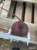 Sprzedam buraki czerwone okrągły na przemysł 5+