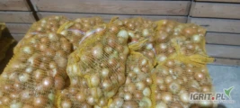 Witam. Sprzedam cebule kal 4,5+ . Pakowana w worek 10 ,15 kg lub bb . Ilości busowe lub paletowe. Wiecej info pod nr 517987077. 