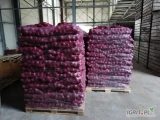 Sprzedam cebule czerwoną, kaliber 50/70 i 70+, worek 5,10kg, cebula fazorowana