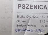 Sprzedam 5 samochodów pszenicy, białko 14,5-19%, mała gęstość 70-75. Netto 780 zł, płatne na załadunku