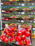 Papryka 5kg Hiszpania- świeża dostawa.