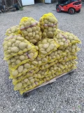 Ziemniak jadalny Jurek 5+ pakowane w worki lub big bag cena za worek  15 kg 5 zł ilość około 50 t