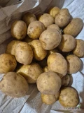 Sprzedam ziemniaki odmiany Gala możliwość na mycie,obieranie, brudno, Queen Anne ziemniaki w ilościach tirowych i mniejszych. Badania na...