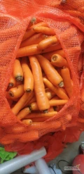 Sprzedam Marchew Mytą  lub brudna  do mycia  ladnie się myje bez plam kal chandlowy 