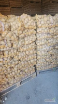 Witam posiadam ziemniaki jadalne 21 palet po 70 na palecie worek wiązany zainteresowanych zapraszam 50+