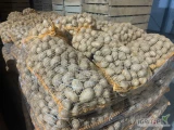 Sprzedam ziemniaki kal 3.5 do 4.5 odmiany Colombo melody denar zapraszam do kontaktu 