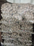 Posiadam do sprzedania ziemniaki jadalne białe Irga gotowe 15 palet po 70 worków cena 9 zł worek posiadam również Catania Ignacy Jurek...