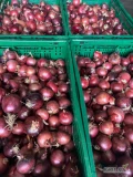 Sprzedam cebulę czerwoną kaliber 3/5 