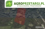 Przetarg na dzierżawę 14,08 ha gruntu rolnego na czas nieokreślony – RIIIb, RIVb, RV, RVI, ŁIV, ŁV, ŁVI