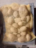 Sprzedam ziemniaki SORAYA 5,10,15 kg worek szyty  ilość  do uzgodnienia badania fito na eksport cena do negocjacji.