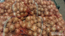 Sprzedam cebulę odmiana Centro. Pakowana pod zamówienie w worki 10-15kg. Sucha po obcinarce, kaliber 5-7cm. Cena do negocjacji przy...