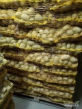 Sprzedam 600 worków ziemankow żółtych Soraya
