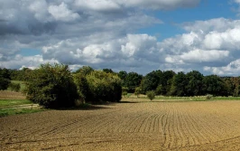 Niedługo wnioski na inwestycje leśno-zadrzewieniowe
