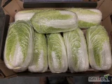 Sprzedam kapustę pekińską odmiany Bilko. Kapusta z chłodni, zdrowa i zielona. Kalibraż i pakowanie do uzgodnienia. Ilości tirowe.
