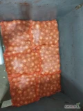 Sprzedam cebulę żółtą kaliber handlowy worek szyty cena do uzgodnienia 