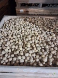 Sprzedam ziemniaki świeże Colomba kaliber 30/40mm okolo 2 tony. 
