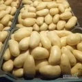 I have fresh potatoes in bulk quantities, ready for bulk delivery. If you are interested, please email me for more details.