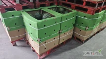 Producent, sprzedam opakowania Boxy 180 kg Arbuz. Nadruk  lub bez. Perforacja na długim i krótkim boku.