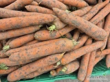 Sprzedam marchew handlową, kaliber 2-4