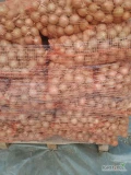 Sprzedam cebule workowaną kal.5+.po 15 kg ma na jasną łuska typ rijnsburger cena 90gr/kg.