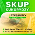 SKUP KUKURYDZY KALISZ . Mogę pomoc zoorganizowac transport . Bez kolejek . Faktura RR lub faktura VAT . Zapraszam