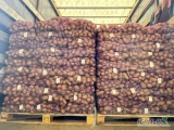 W sprzedaży ziemniaki jadalne odmiana QA oraz Soraya szykowane na eksport w worek szyty 15 kg (fiolet). Duże doświadczenie w...