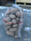 Naszykuje 24tony ziemniaka czerwonego odmiany oberon kaliber +45 big-Bag bądź luz .Ziemniaki z przechowalni . Ładny czysty towar z jasnej...