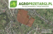 Przetarg na dzierżawę 8,85 ha gruntu rolnego na czas nieokreślony – RIIIb, RIVa, RIVb, RV, ŁIII, PsV