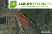 Przetarg na dzierżawę 6,30 ha gruntu rolnego na 10 lat – ŁIII, ŁIV, ŁV, ŁVI