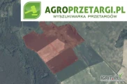 Przetarg na dzierżawę 65,38 ha gruntu rolnego na 3 lata – RIIIb, RIVa, RIVb, ŁIV