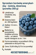 Sprzedam borówkę 200 kg/dzień Chodnow woj. Łódzkie 
