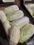 Sprzedam 120 kg kapusty pekińskiej w kartonie, kaliber od 1.6 do 2.5 kg