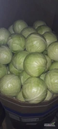 sprzedam kapustę białą kal 1-4 towar  marketowy opakowanie karton box 3.60 worek 20kg 3.80 po tonie na palecie fak vat loco...