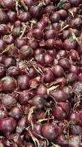Cebula CZERWONA z siewu do pakowania i obieranie. Red baron, ilości tirowe, import, dostawa do klienta. Co tydzień nowe oferty. Dostępne...
