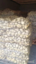 Nakopię pod zamówienie ziemniaki Riviera. Dziennie do 600 worków 15 kg lub luzem. Dostępne około 20ton. 9 zł worek.