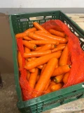 Sprzedam marchew mytą, kaliber 2-4 bez plam i osuszki 