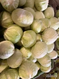 Witam sprzedam kapustę białą 3-4 kg. Czysta, zdrowa bez wciornasrka 