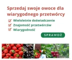 Sprzedawaj swoje owoce do wiarygodnych przetwórni !