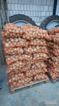 Sprzedam ziemniaki zółte Vineta workowane po 15kg kaliber 45+ zdrowy ziemniak szczotkowany z jasnej ziemi ilości busowe lub 24t więcej...