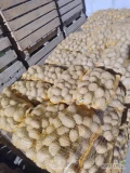Sprzedam ziemniaki jadalne z jasnej ziemi towar na paletach  odmiany 